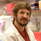 Alfonso Rubio-Navarro, Ph.D.