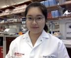 Yingxi Cao, Ph.D.